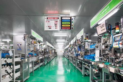 科技賦能，服務創(chuàng)優(yōu)——區(qū)科技局深化信息技術(shù)咨詢服務新路徑